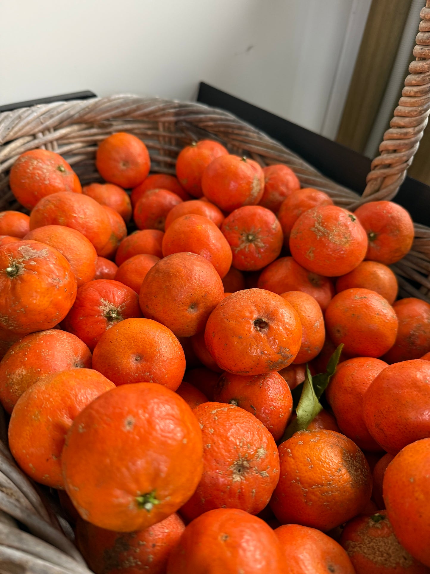 Clementines - Due July