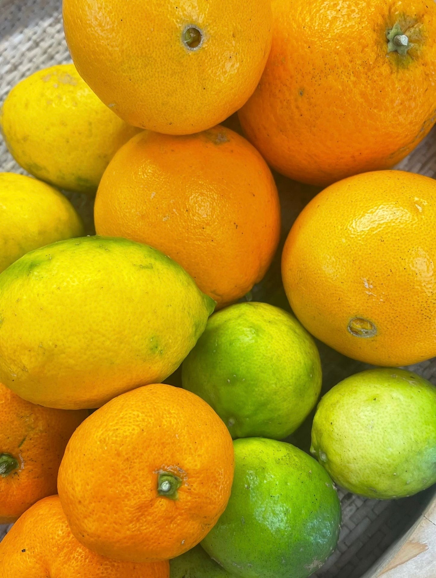 Mixed Citrus Box 4kg