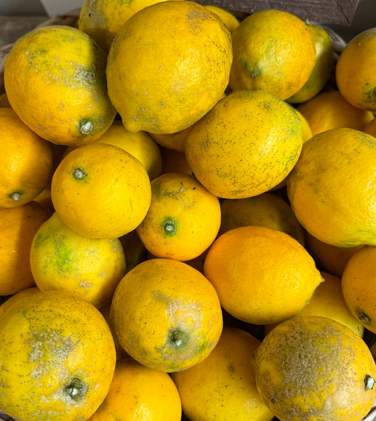 Meyer Lemons 4Kg Box