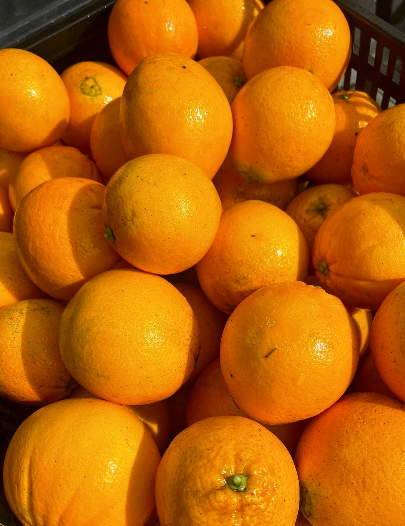 Navelina Oranges 4Kg Box