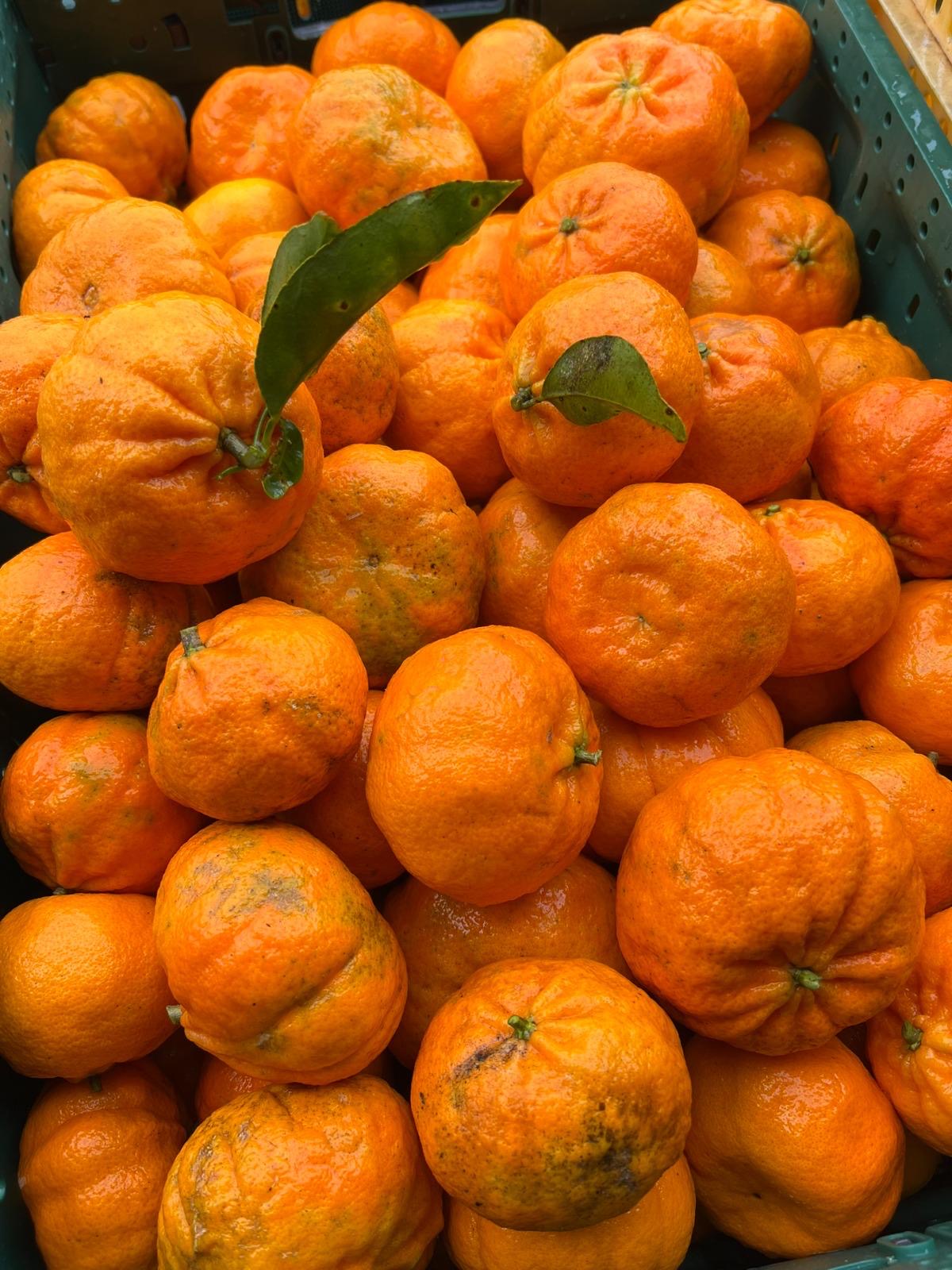 Richard Specials Mandarins